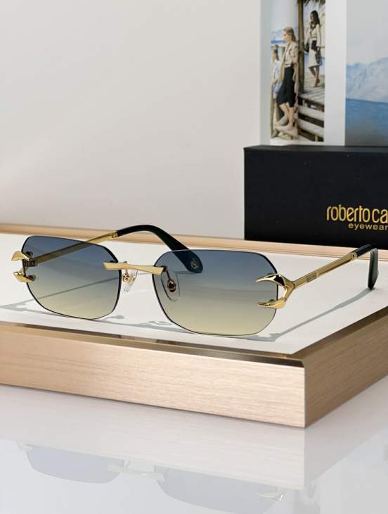 Picture of Roberto Cavalli Sunglasses _SKUfw79280015fw